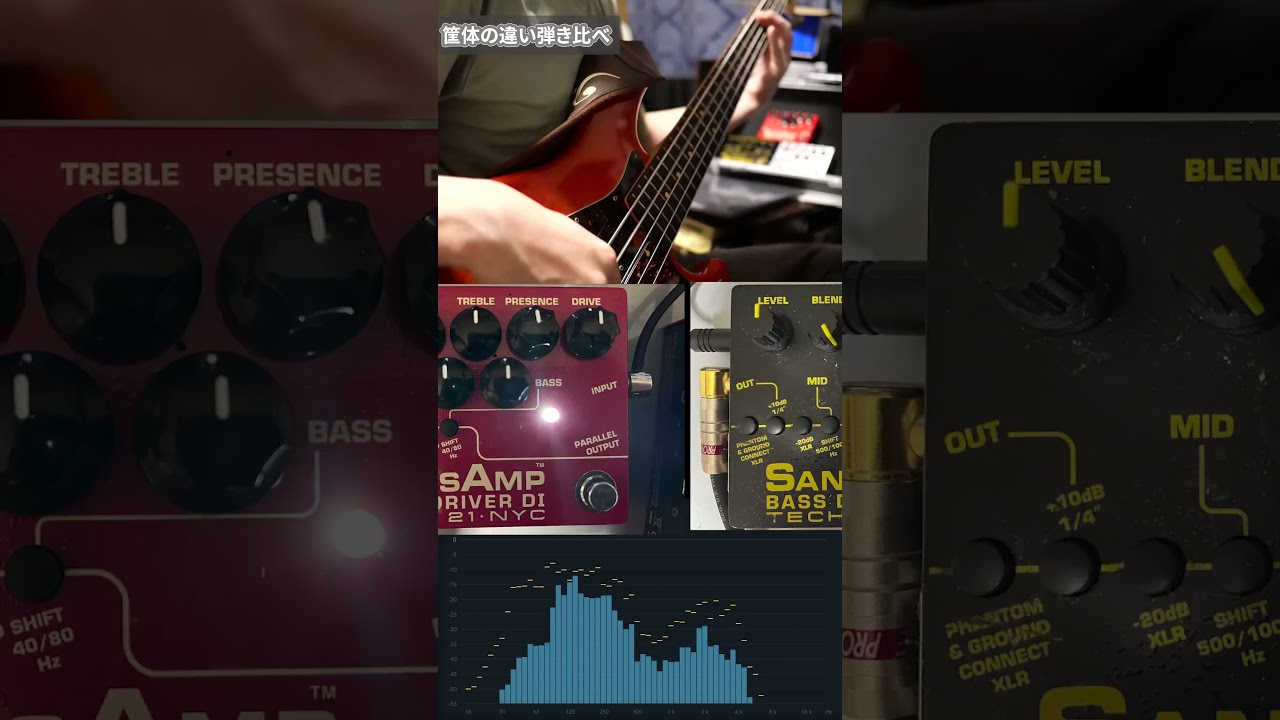 中身同じでも筐体の違いで音は変わるのか？SANSAMP BASS DRIVER DI V2 Tech21 30th Anniversary