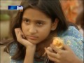 Boli Muhinji Sagar Sindhi Sindh Tv