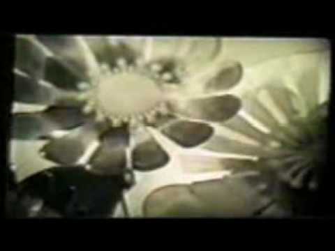 Licorice Schtik - Flowers Flowers (1968)
