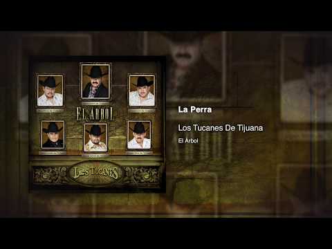 La Perra - Los Tucanes De Tijuana [Audio Oficial]
