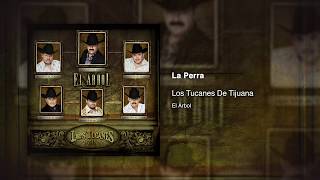 La Perra - Los Tucanes De Tijuana [Audio Oficial]