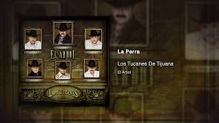 La Perra - Los Tucanes De Tijuana [Audio Oficial]