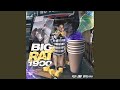 Big Rat 1900