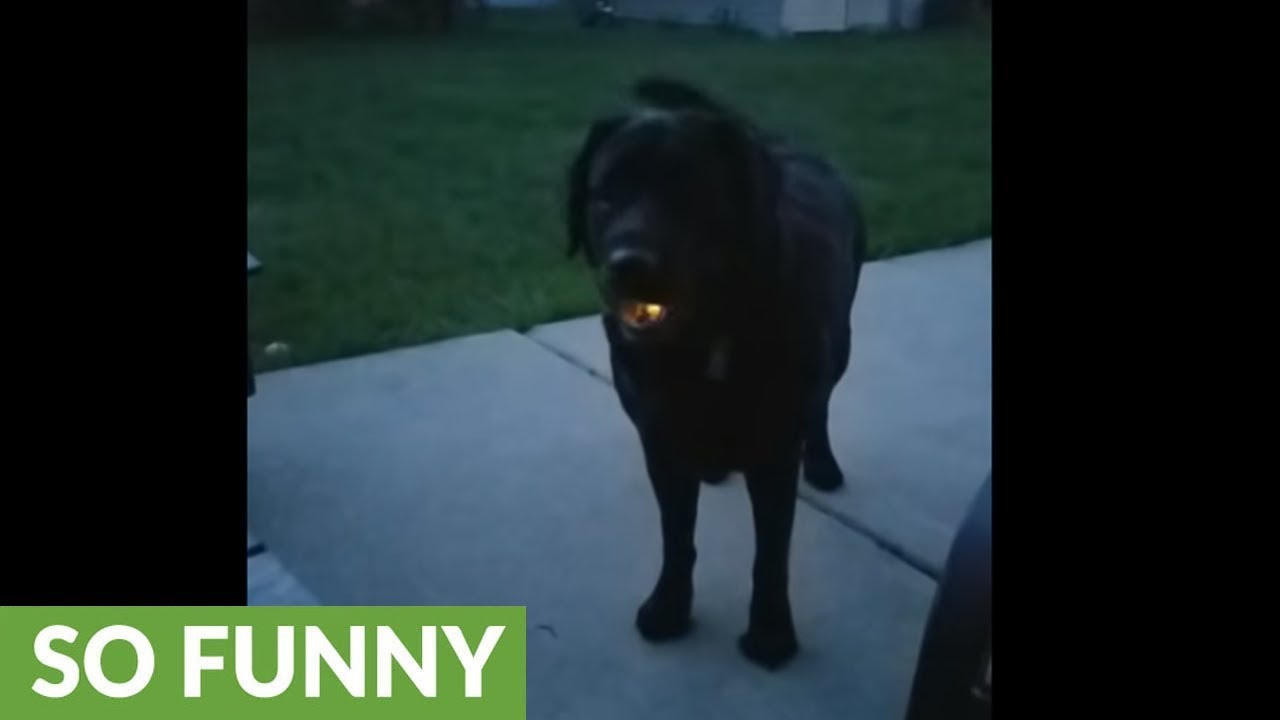 YouTube video preview