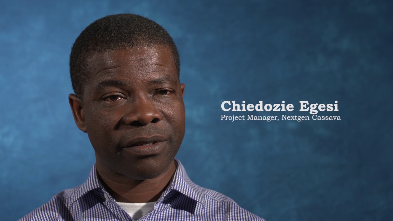 NextGen Cassava - Unlocking the Potential of Cassava