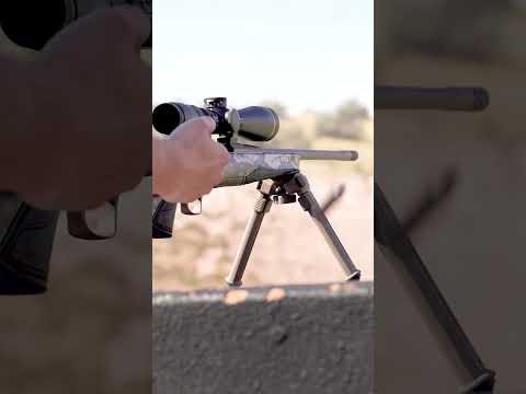 Browning Standard Brake