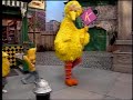 Classic Sesame Street Big Bird And The Birdketeer K