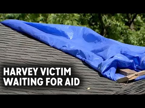 Ted Oberg reports that only 10 people have been helped so far with city Harvey money.