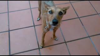 Nela "por el interés te quiero Andrés"