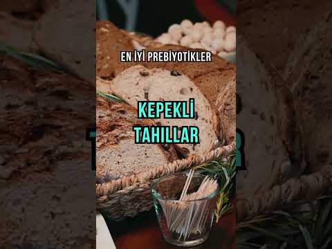 Probiyotik, Prebiyotik, Probiyotikler ne işe yarar