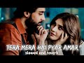 Ishq Murshid Drama Song | New Slowed and Reverb Song