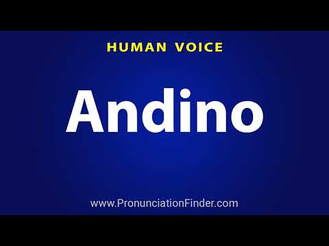 How To Pronounce Andino