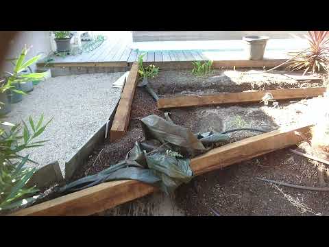 Jardinier Paysagiste Bassin Arcachon - Création Traverses Paysagères