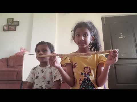 Anvitha and Akshaj's animal show