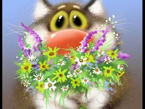 MAŁE WU WU - Żab Nie Wolno Trzymać W Domu