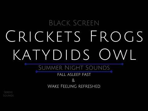 Black Screen 10 Hours - Crickets - Frogs - Katydids - Owl - Cricket Sounds for Sleeping