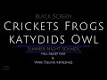 Black Screen 10 Hours Crickets Frogs Katydids Owl Cricket Sounds For Sleeping