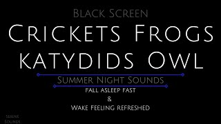 Black Screen 10 Hours - Crickets - Frogs - Katydids - Owl - Cricket Sounds for Sleeping