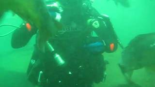 Carrière De Lillé Sprimont 2010