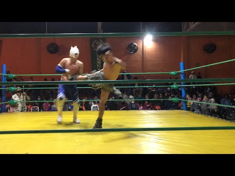 Fantasy, Zonik y Sky Dragon vs Shunga Shunga Jr, Kenji y Rey Tornado Jr