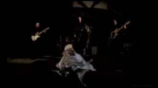 Groovy Toast - Arcus