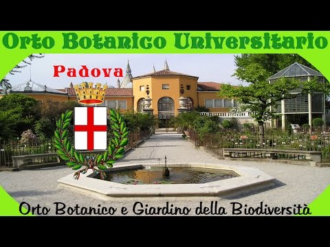 L'Orto Botanico di Padova - Orto e Giard