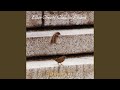 Gulls - Ellen Christi - Topic Gulls
