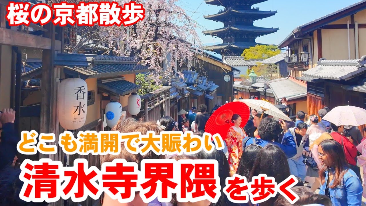 4/3(金)桜の京都散歩 どこもかしこも満開で大賑わいの清水寺界隈を歩く【4k】Kyoto Japan walk 