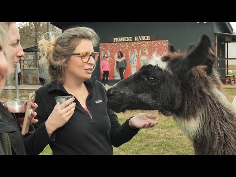There's a Whole Llama Love at the Figment Ranch! | Localish