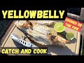 Yellowbelly Cooked on the Fire - Catch and Cook