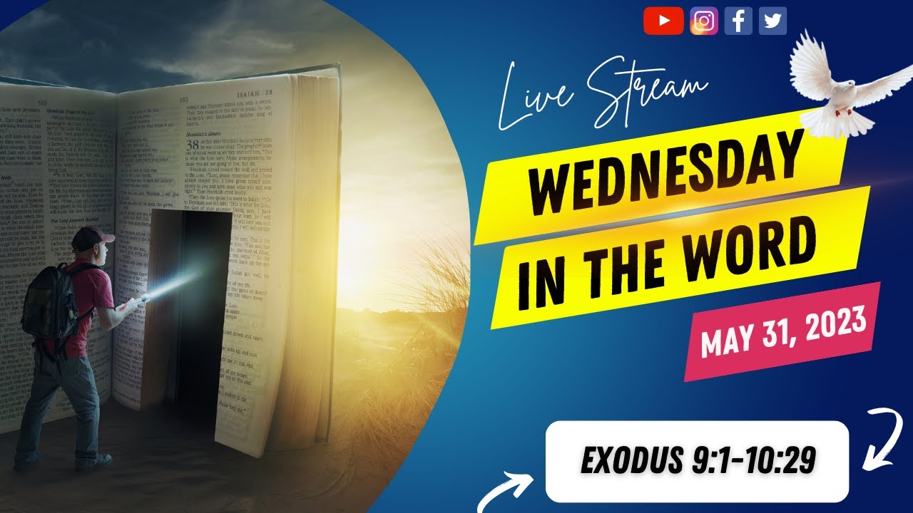 Wednesday in The Word for May 31, 2023 is Exodus 9:1-10:29