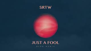 SRTW - Just A Fool (NLSN Remix)