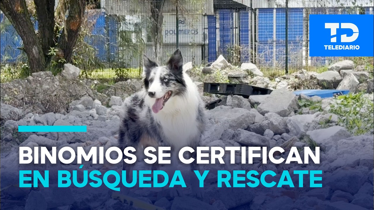 Kenai y Balam: los nuevos aliados de Cruz Roja en emergencias y rescates
