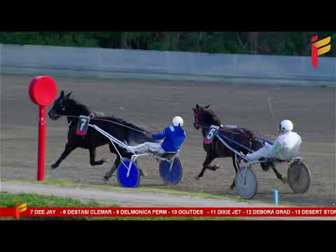 II corsa del 21 gennaio 2023 - 4 Anni - Metri 1600