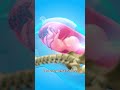 What Really Happens During Normal Delivery Pregnancy Viralvideo Creativelearning3d