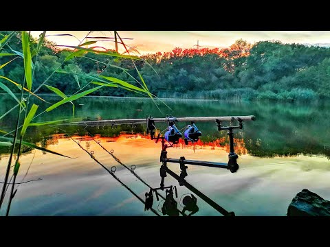 Karpfenangeln VTB 92 - Meine erste Nacht am Parksee