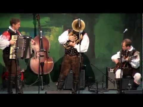 Ansambel Saša Avsenika-Venček valčkov in polk (v živo)