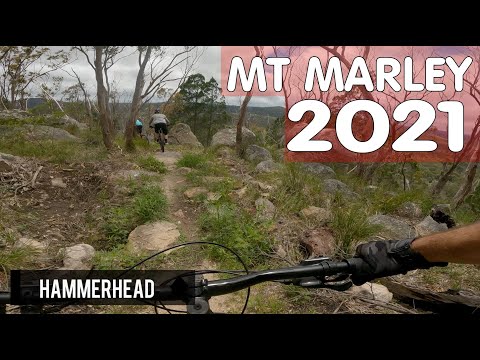 Mt Marlay Mountain Bike Trails