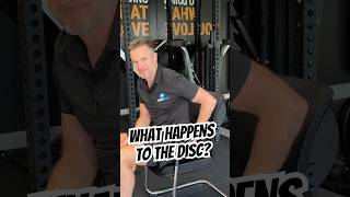 What happens inside a disc when you sit