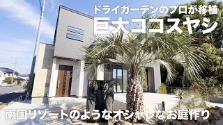 【庭づくり】北関東で巨大ココスヤシを移植?!ドライガーデンのプロがつくる南国リゾートのようなオシャレなお庭【#ガーデニング】