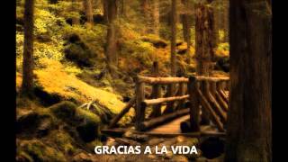 Gracias a la Vida - Juanes, Alejandro Sanz, Laura Pausini, Shakira, Michael Bublé &amp; Miguel Bosé