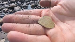 beach metal detecting old silver coins