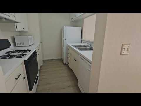 1217 Lancers - Video 2 of 2