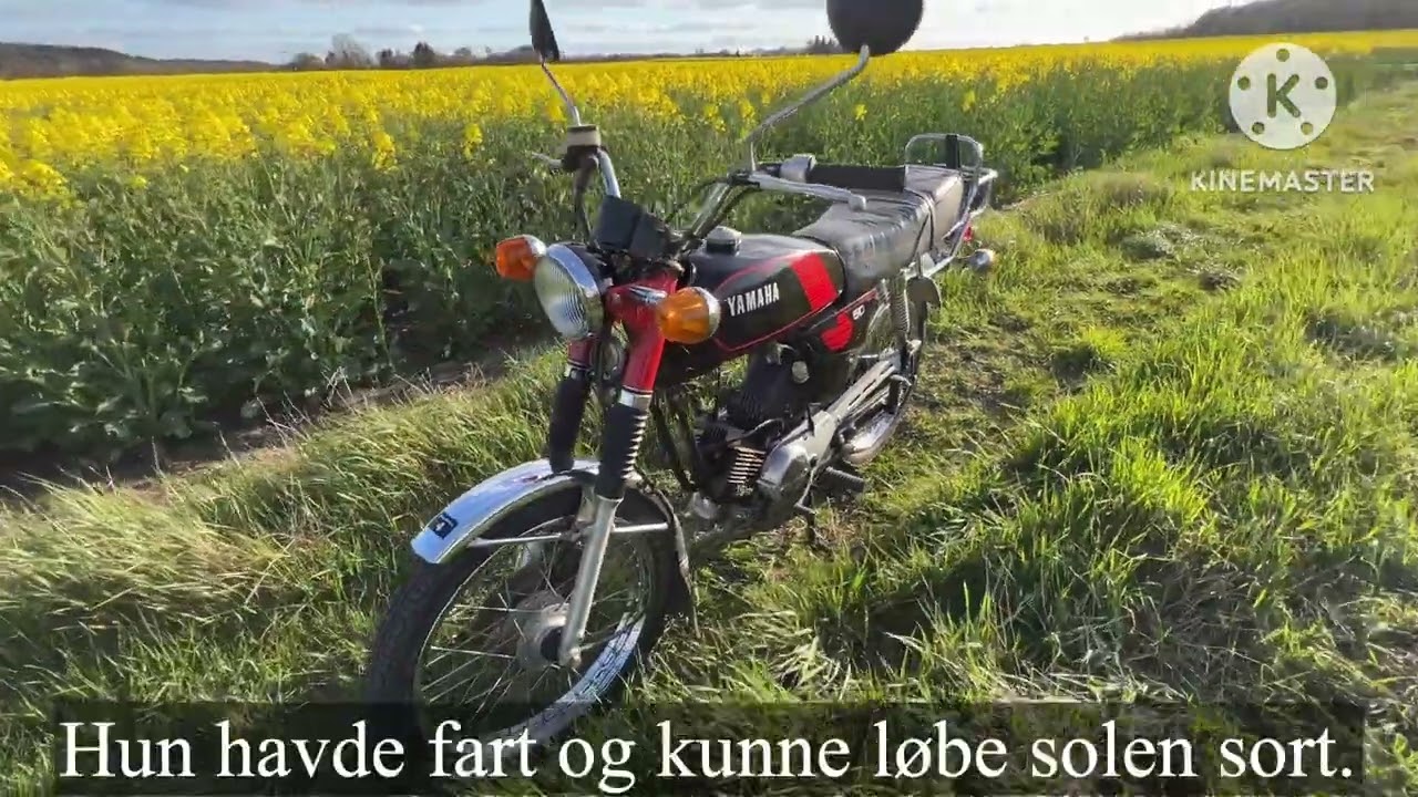 No. 4 Støv redigeret