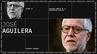 Algas: Un Tesoro Gastronómico del Mar