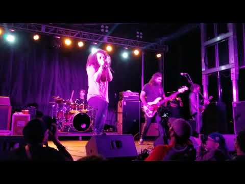 A Lot Like Birds - No Attention For Solved Puzzles