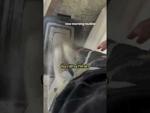พี่ชาย มีกิจวัตรประจําวัน อันใหม่ !? 😭😭 #shorts #เล่าเรื่อง #viralvideo
