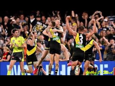 2020 AFL Grand Final Richmond Vs Geelong SEN Radio