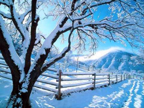 Video thumbnail for The White World of Winter