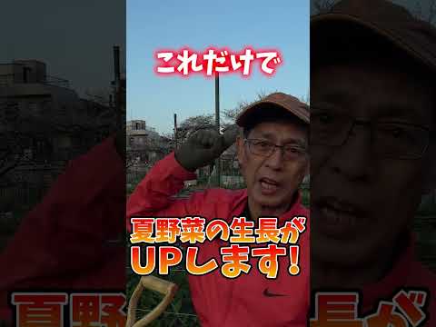庭の土壌を活性化する理由と方法: 肥沃度を回復するための簡単なステップ  庭園